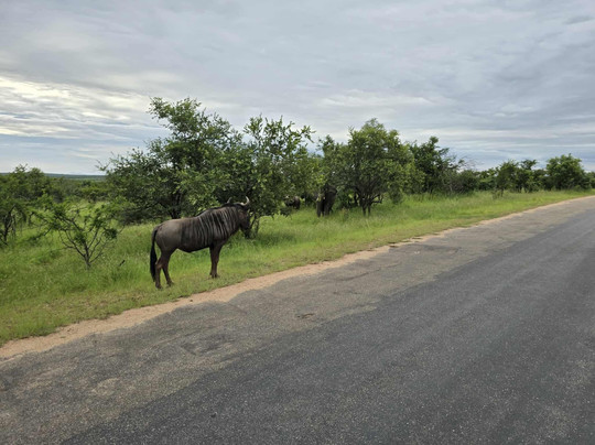 CD Tours - Day Trips-马里兰必去景点