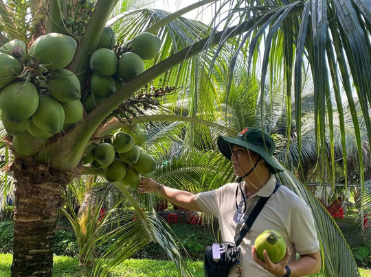 VIVAGO TRAVEL-河内必去景点