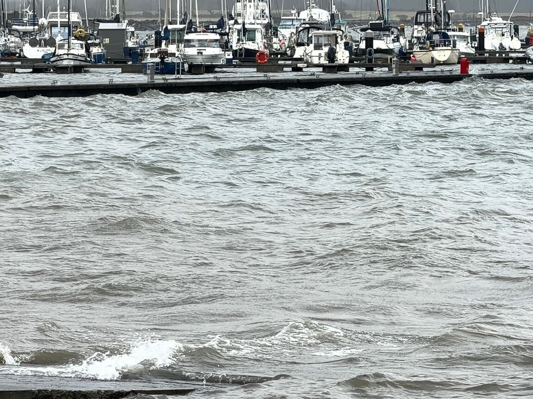 Malahide Marina-马拉海德必去景点