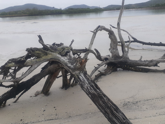 Praça da Cidadania-卡布弗里乌必去景点