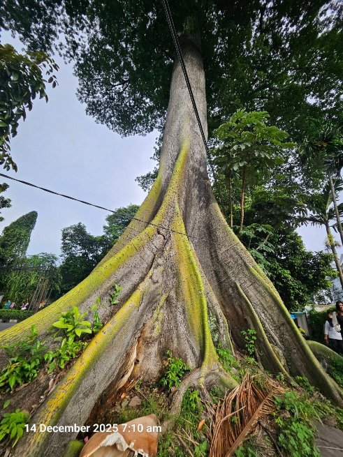 宜必思尚品茂物巴查查兰酒店-官方
