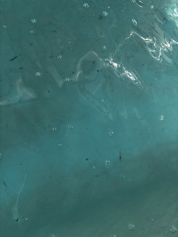 智选假日套房酒店米尔福德主图