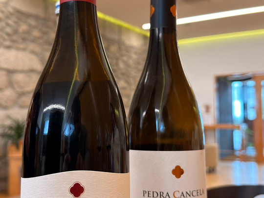 Lusovini - Vinhos de Portugal-Nelas必去景点