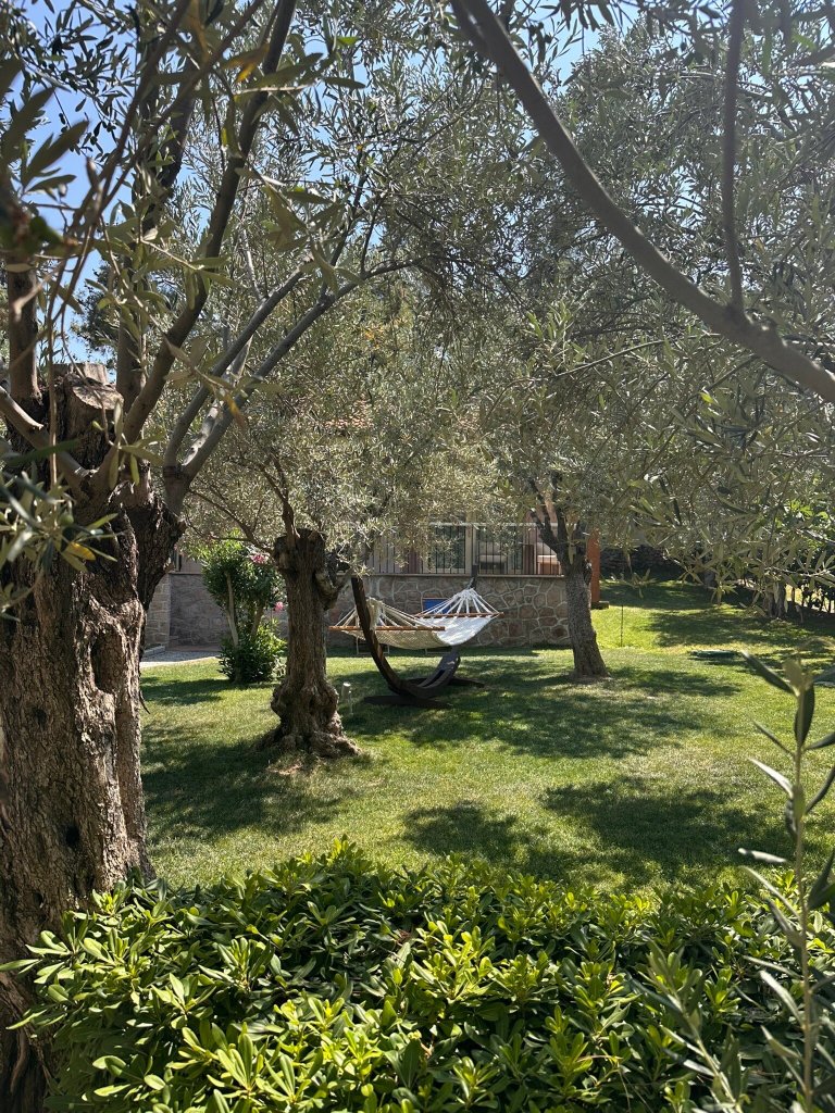 D Resort Ayvalik-官方