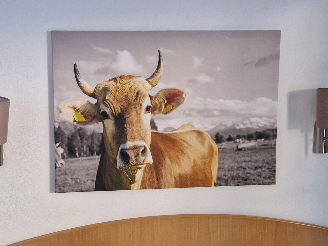 Hotel Wasserfall主图