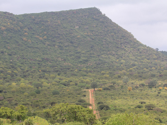 JT Safaris-迪亚尼必去景点