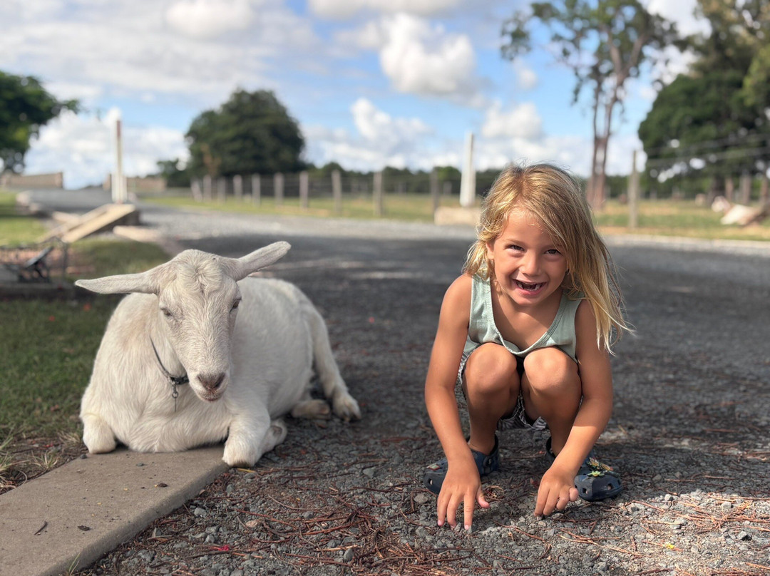 Splitters Farm-邦德堡必去景点