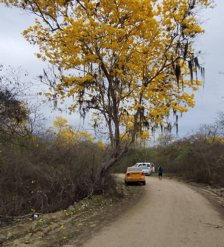 Reserva Ecológica Arenillas-Arenillas必去景点