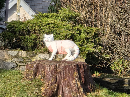 The Wildcat Experience-Newtonmore必去景点