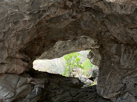 Rupestre Patagonia-纳塔莱斯港必去景点