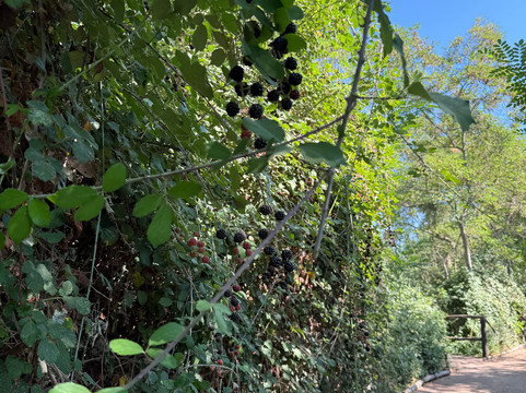 Hotel Vina La Playa主图