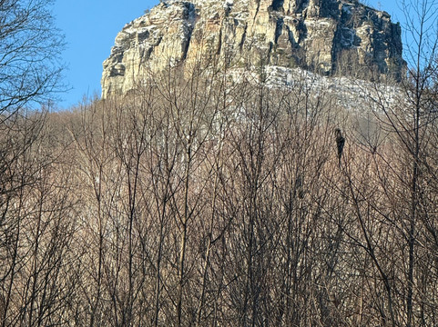 Pilot Knob Inn主图