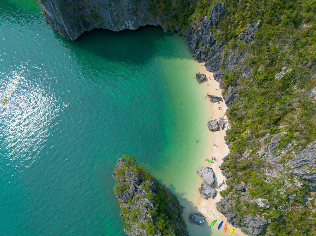 Blue Swimmer Adventures-卡巴必去景点