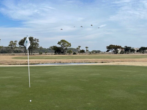 Robert Trent Jones Oceanfront Course-希尔顿头岛必去景点