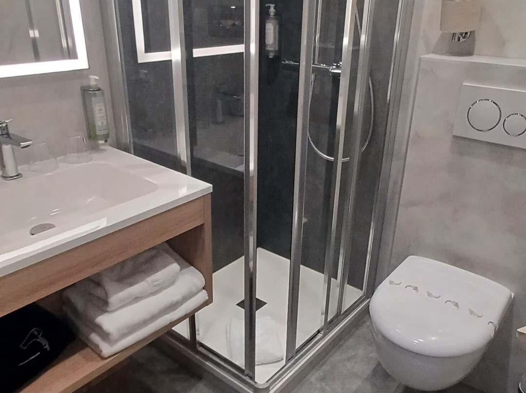 因特尔道梅尼文赛纳酒店主图