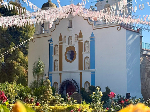 Tule Tree-Santa Maria del Tule必去景点