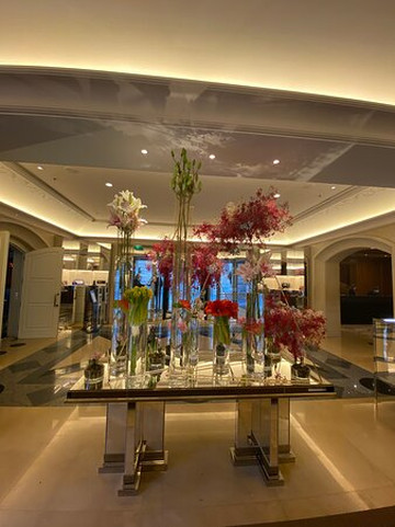 布拉格四季酒店主图