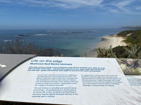 Mushroom Reef Marine Sanctuary-弗林德斯必去景点