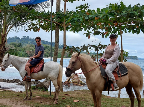Ride The Rainforest-旧港必去景点