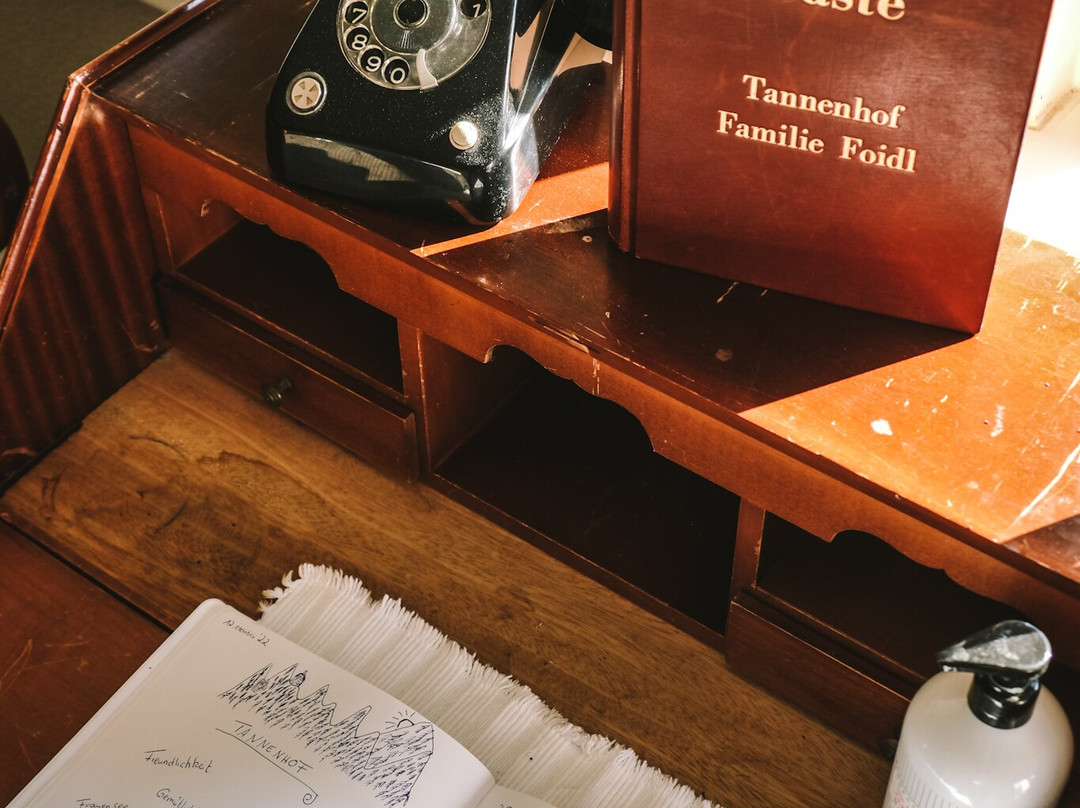 坦尼霍夫酒店主图