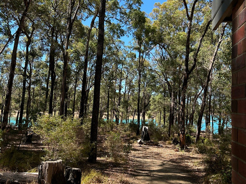 Logue Brook Dam-Yarloop必去景点