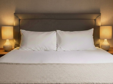 里兹克霍尔酒店主图