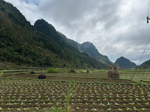 Cao Bằng Easy Deeping Tours-高平必去景点