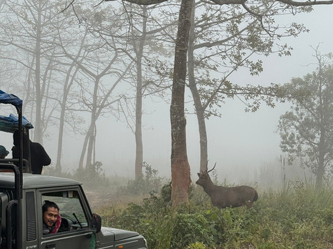 Sauraha Chitwan Nepal-苏拉哈必去景点