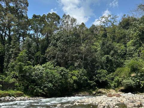 Bukit Lawang Adventure-武吉拉旺必去景点