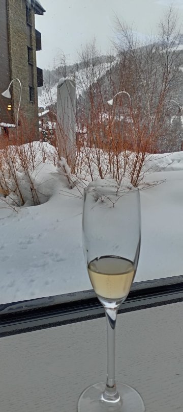 皮奥勒特斯公园山 Spa 酒店-官方