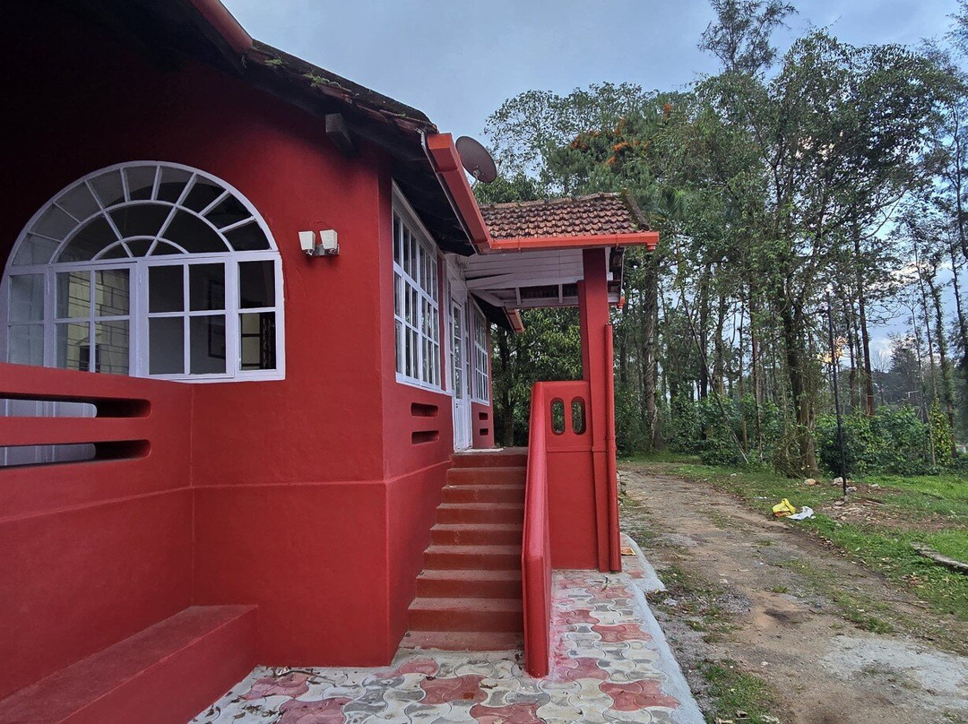 The Ossoor