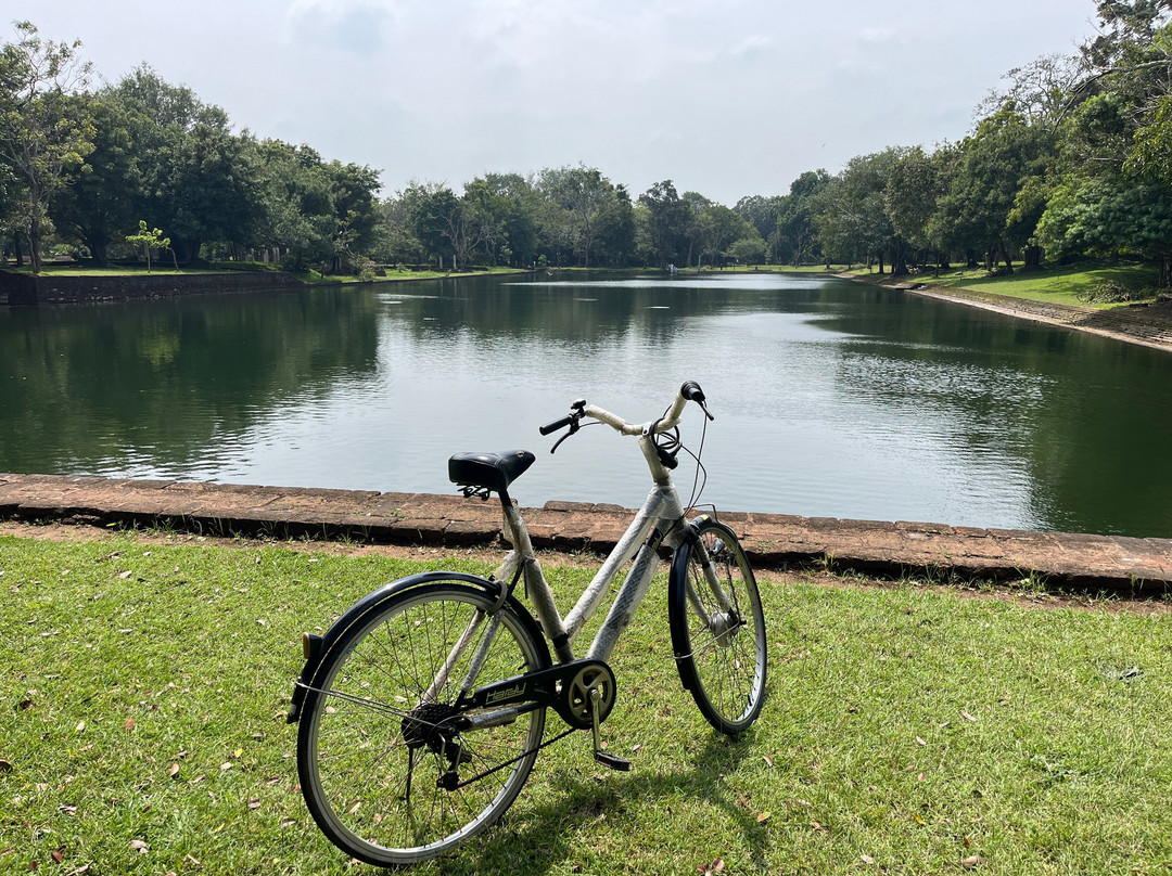 sun cycles work shop and hire-阿努拉德普勒圣城必去景点