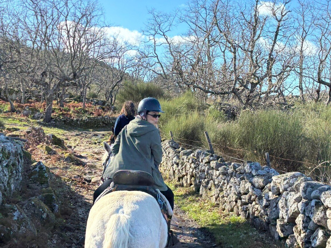 Caballos de Marvão-Santo Antonio Das Areias必去景点