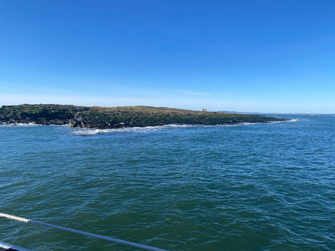 Billy Shiel's Boat Trips-Seahouses必去景点