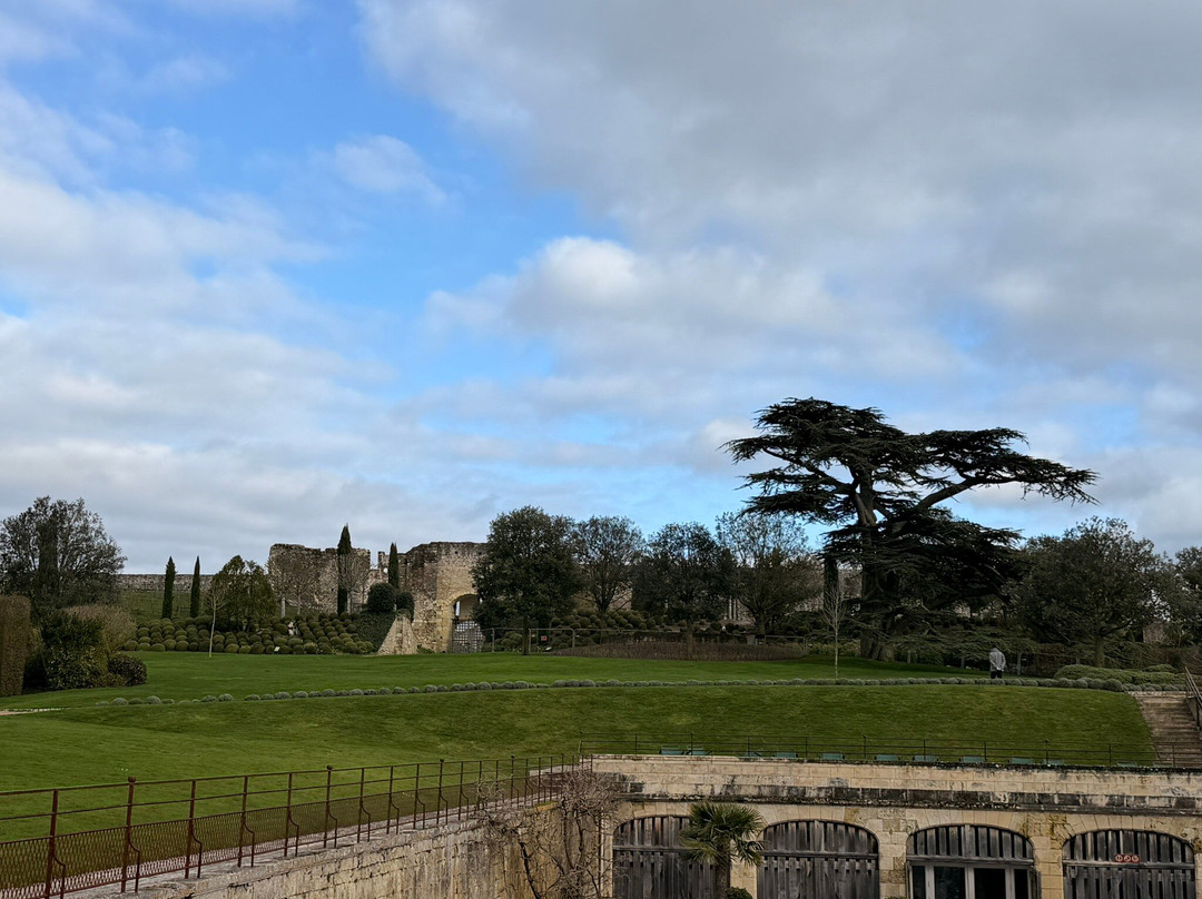 Riverloire - Loire Valley Day Tours-昂布瓦斯必去景点