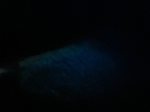 BioIsland-Cabezas必去景点