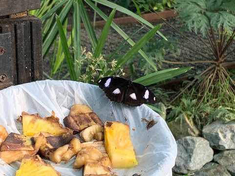 The Bug Parc-Lenwade必去景点