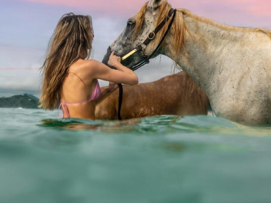 Mirador Equestrian-Playa Avellanas必去景点