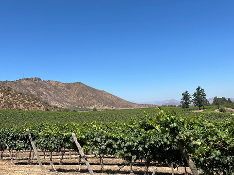 Besoain Wines-Pirque必去景点