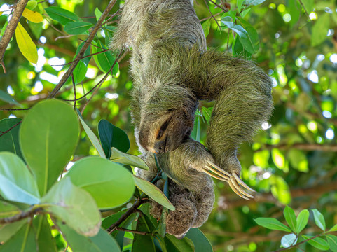 Hacienda Baru Lodge-主日镇必去景点