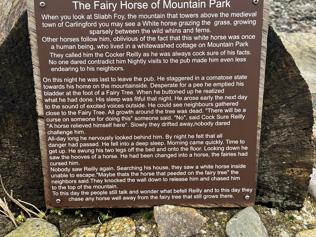 Leprechaun and Fairy Underground Cavern-Carlingford必去景点