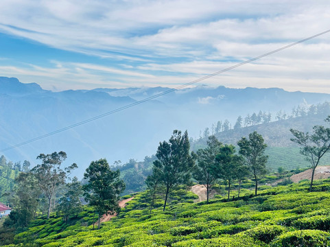 Kerala Dayz-柯钦必去景点