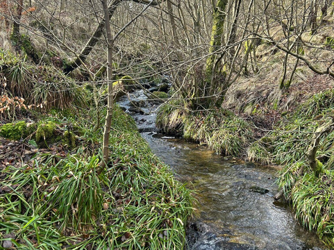 Maspie Den-Falkland必去景点