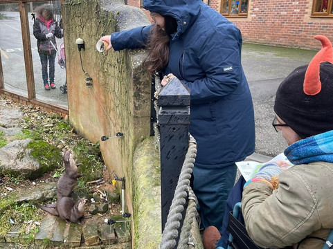 热带蝴蝶馆，野生动物和狩猎中心-谢菲尔德必去景点