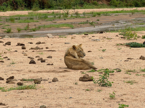 Lake Manyara-Lake Manyara National Park必去景点