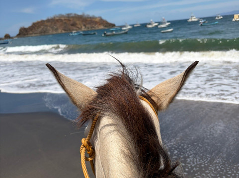 The Monkey Farm-Playa Ocotal必去景点