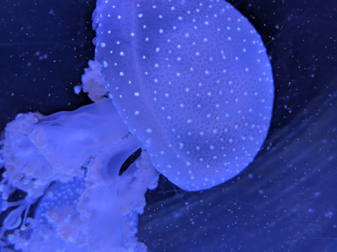 Sea Life Scarborough-斯卡伯勒必去景点