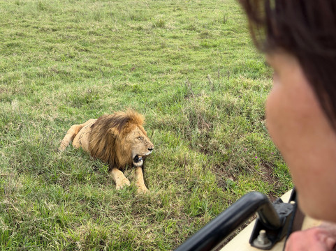Makasa Tanzania Safaris-莫西必去景点