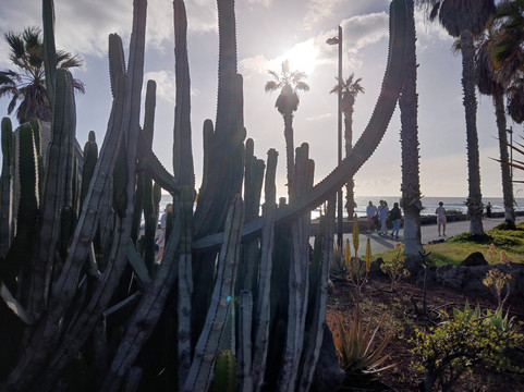 Playa De Las Americas-美洲海滩必去景点
