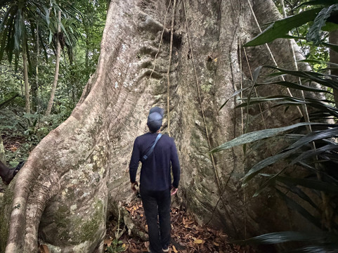 Masoala Travel Guide-Maroantsetra必去景点